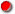 mini red bullet.gif (1777 bytes)